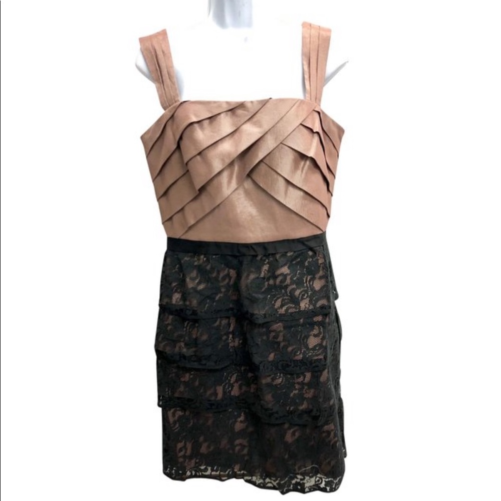 Max and Cleo NWOT Metallic Pleated Lace Dress